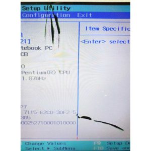 Матрица 17.3″ 40-pin LED 1600×900 HD Glade Глянцевый Разъем: Left-Down Левый-Низ (LP173WD1 (TL)(G2)) Уценка! С дефектом, паутинка сверху и посередине